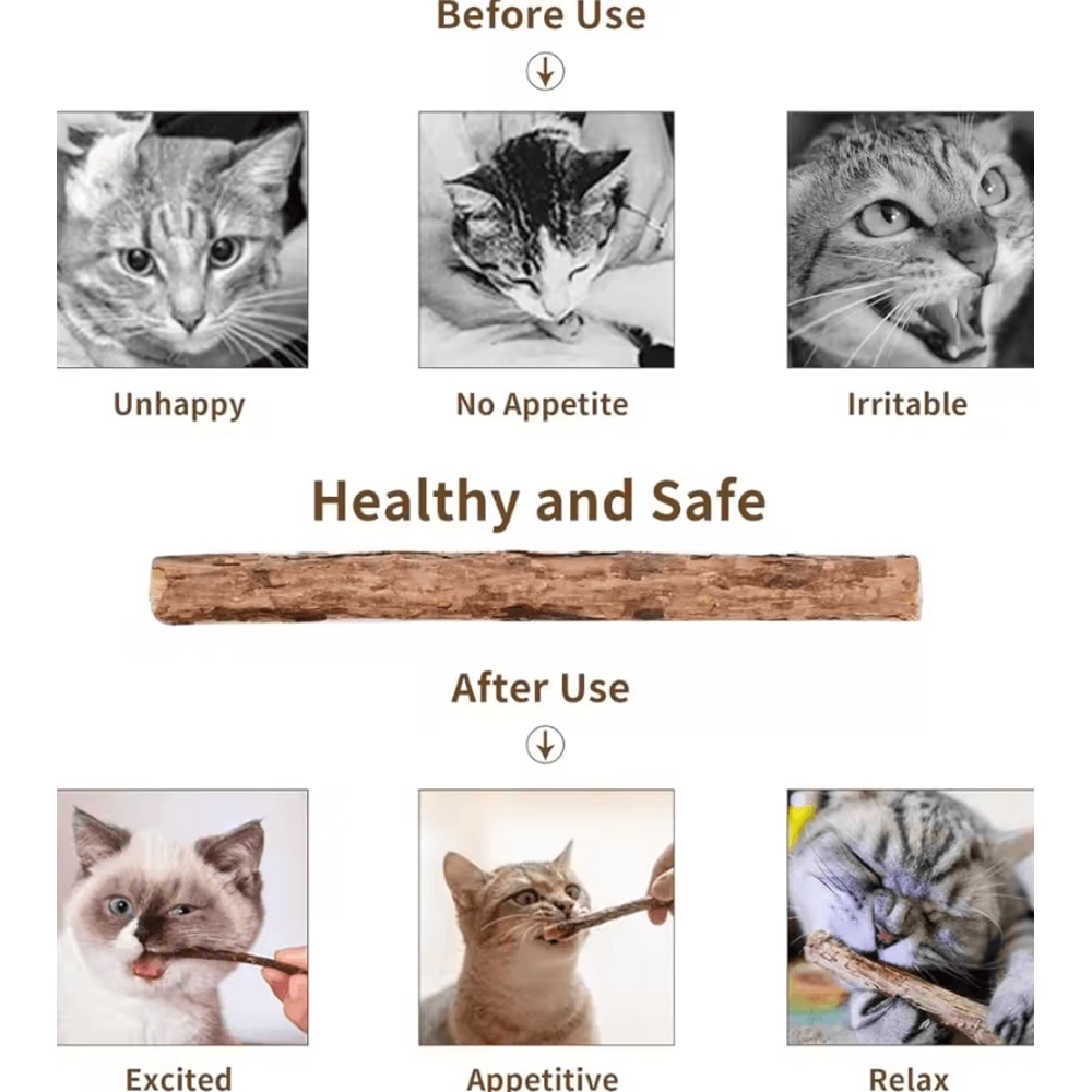 SilverMint Silvervine Cat Chew Sticks For Dental Care Stress Relief 2
