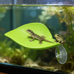 tropical leaf reptile basking platform for geckos & frogs