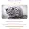 Waterproof Outdoor Cat Small Dog Winter House Bed 0