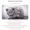 Waterproof Outdoor Cat Small Dog Winter House Bed 0