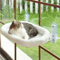 Foldable Cat Window Hammock Bed With Strong Suction Cups 5