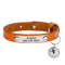 Personalized Safety Cat Collar With Free Engraved Name Tag 10
