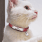 Personalized Safety Cat Collar With Free Engraved Name Tag 2