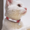 Personalized Safety Cat Collar With Free Engraved Name Tag 2