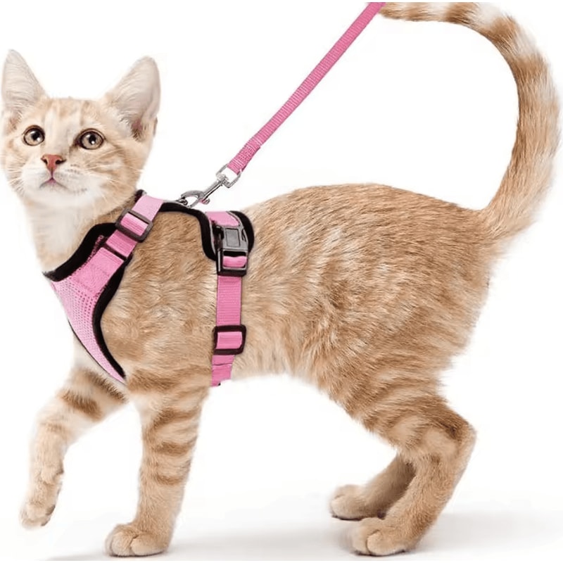 EasyControl EscapeProof Cat Harness Leash Set 0