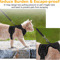 EasyControl EscapeProof Cat Harness Leash Set 2