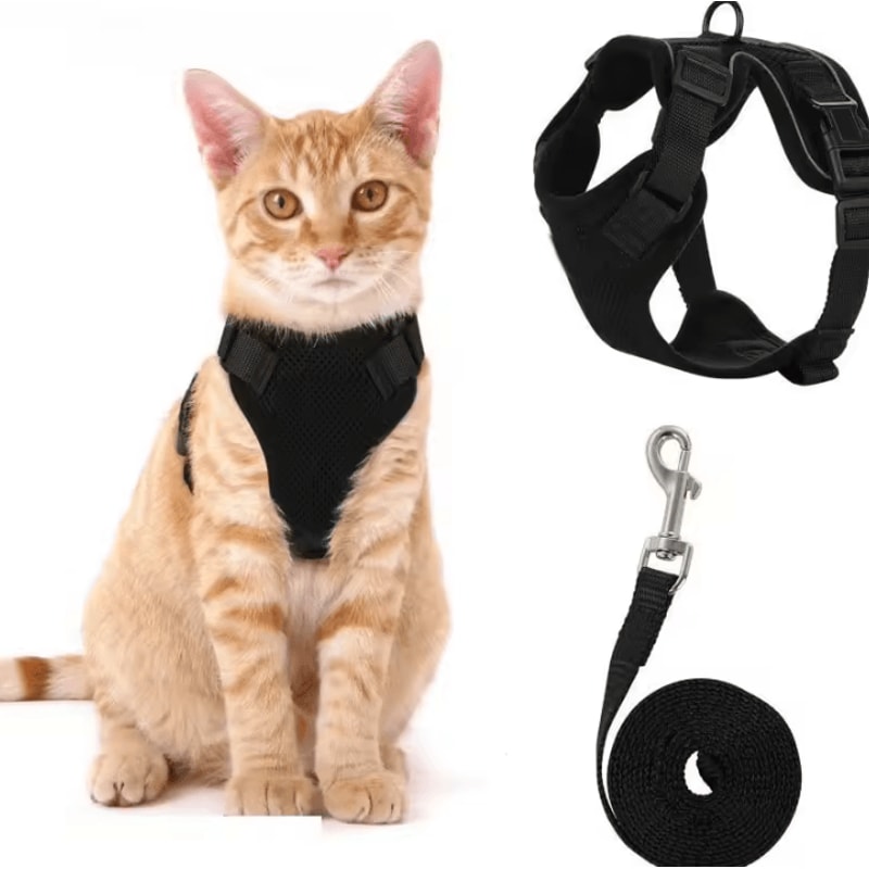EasyControl EscapeProof Cat Harness Leash Set 3