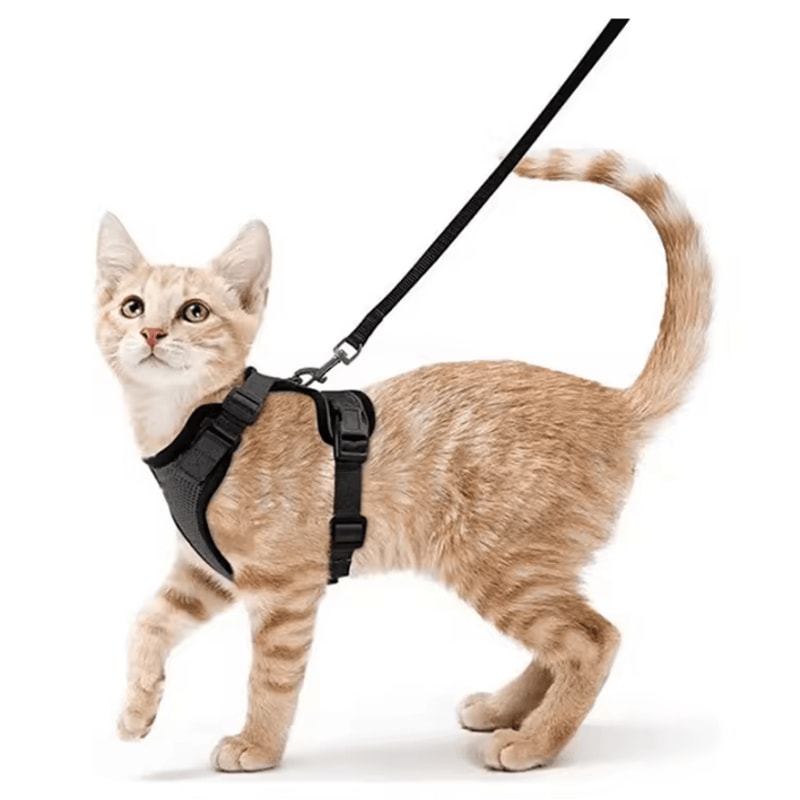 EasyControl EscapeProof Cat Harness Leash Set 4