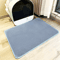 CleanGuard DoubleLayer Waterproof Cat Litter Mat 6