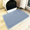 TrapEase Waterproof DoubleLayer Cat Litter Mat 5