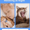 QuietPaws Smart AntiMeow Training Collar For Cats 1