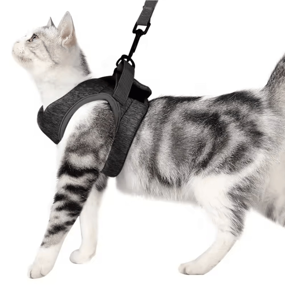 AirFit Adjustable AntiEscape Cat Harness Leash Set 4