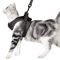 AirFit Adjustable AntiEscape Cat Harness Leash Set 4