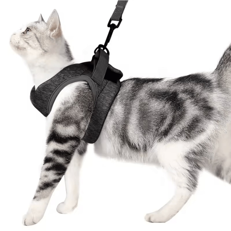 AirFit Adjustable AntiEscape Cat Harness Leash Set 4