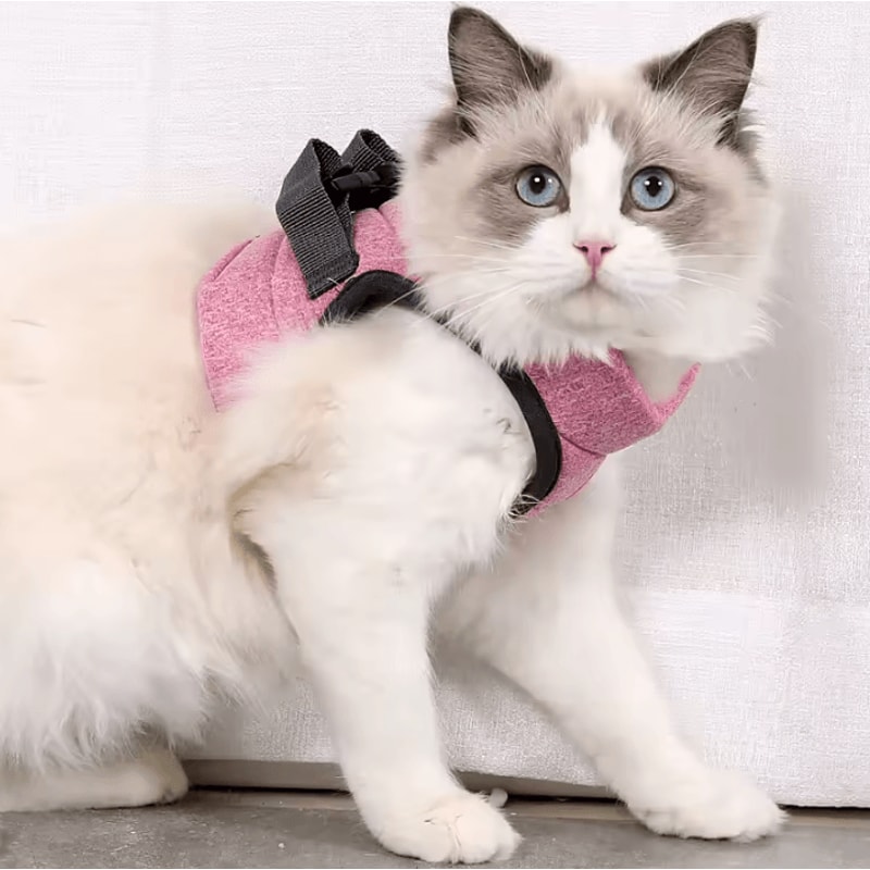AirFit Adjustable AntiEscape Cat Harness Leash Set 5