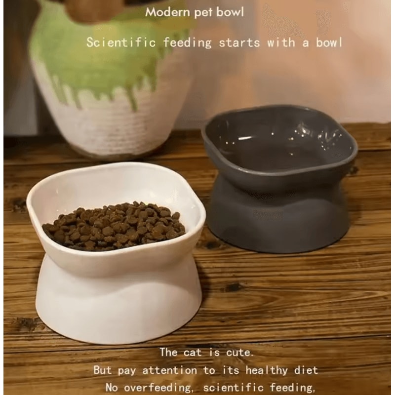 NeckEase Elevated AntiWhisker Cat Bowl 1