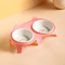 Elevated Ceramic Double Cat Bowl Set For Cats Small Pets 5