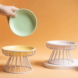 elevadish raised ceramic cat bowl set