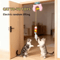 Smart Hanging Door Cat Toy With Auto Swing Feather Teaser 1