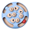 SpinTreat Interactive Slow Feeder Puzzle Toy For Cats 5