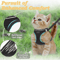 SafeStride Reflective Cat Puppy Harness Set 0