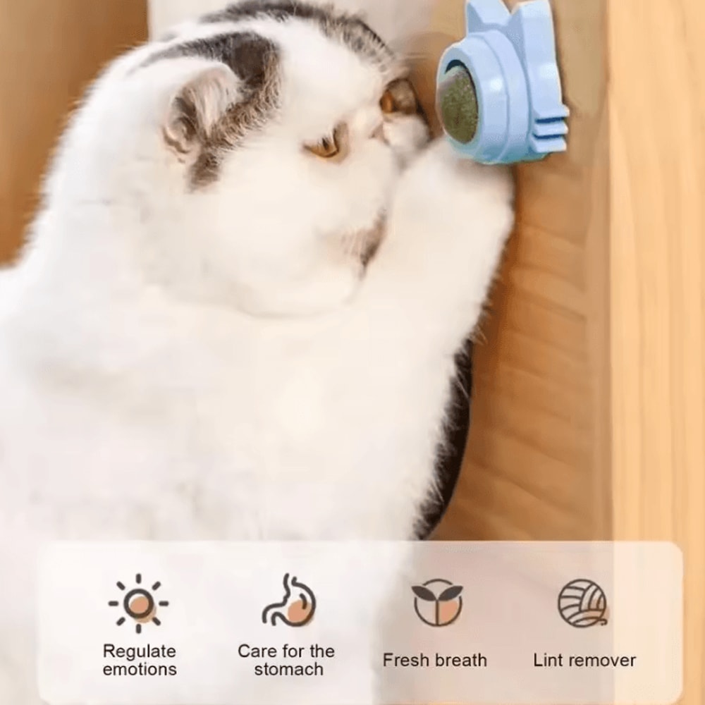 MintSpin Natural Catnip Wall Toy For Cats 2