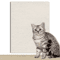 ScratchGuard DIY Cat Scratching Wall Mat 3