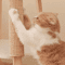 NatureGrip Sisal Cat Scratching Mat 1