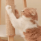 NatureGrip Sisal Cat Scratching Mat 1