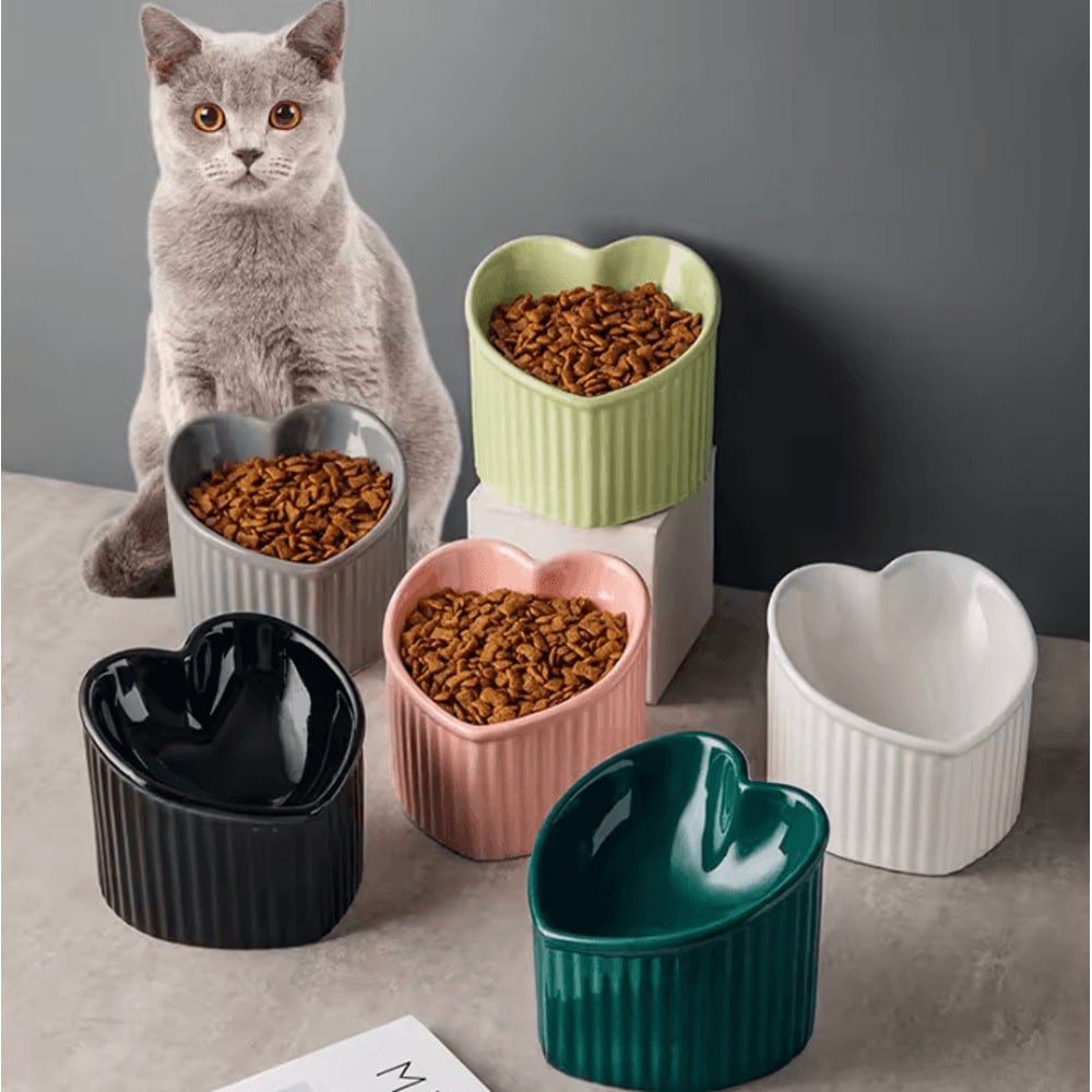 ComfortTilt Elevated Ceramic Cat Bowl With Stand 0