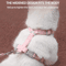 PawVentures Breathable Cat Puppy Harness Leash Set 3