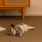 ScratchNest Large Sisal Cat Scratching Mat Furniture Protector 3