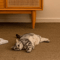 ScratchNest Large Sisal Cat Scratching Mat Furniture Protector 3