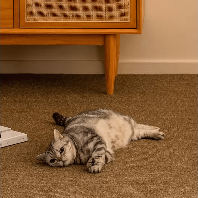 ScratchNest Large Sisal Cat Scratching Mat Furniture Protector 3