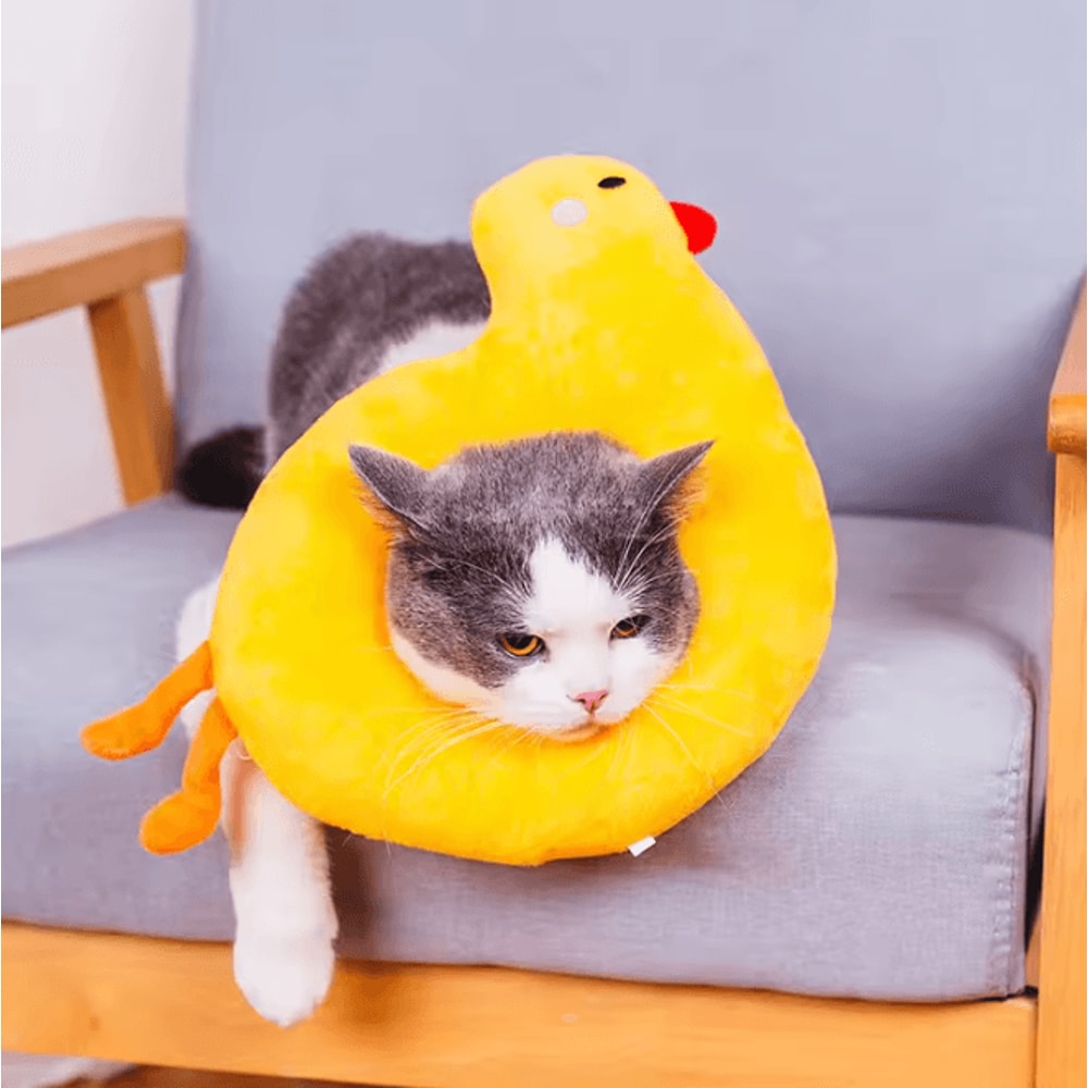 Avocado Toast Pet Recovery Collar Soft Adjustable Elizabethan Cone For Cats Dogs 11