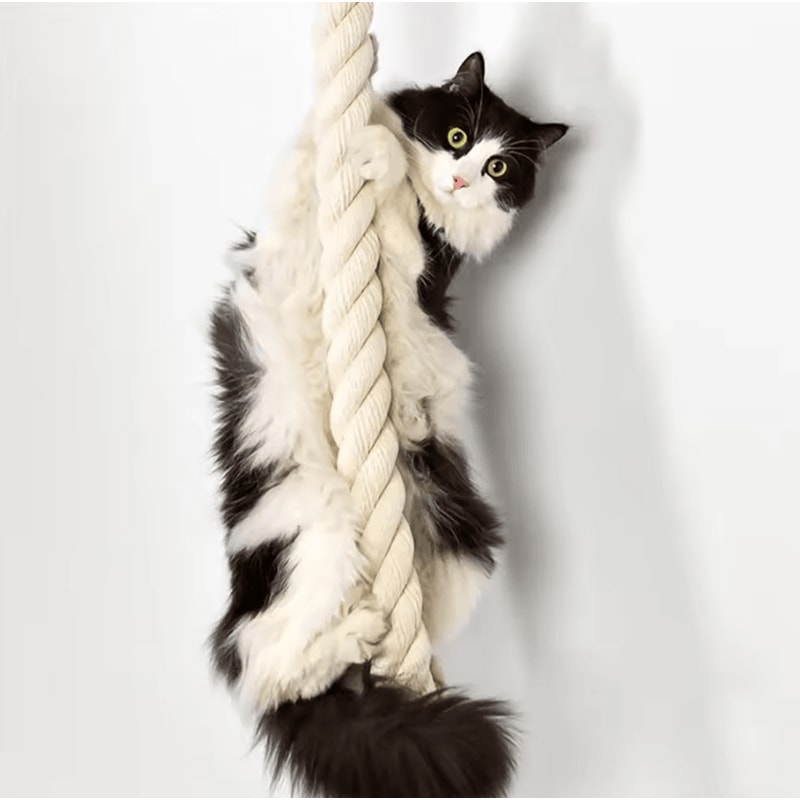 SkyClimb WallMounted Sisal Cat Climber Scratching Gym 2