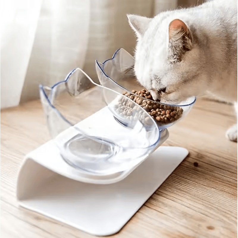 DineEase Elevated Double Pet Bowl With NonSlip Stand 0