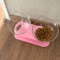 DineEase Elevated Double Pet Bowl With NonSlip Stand 1