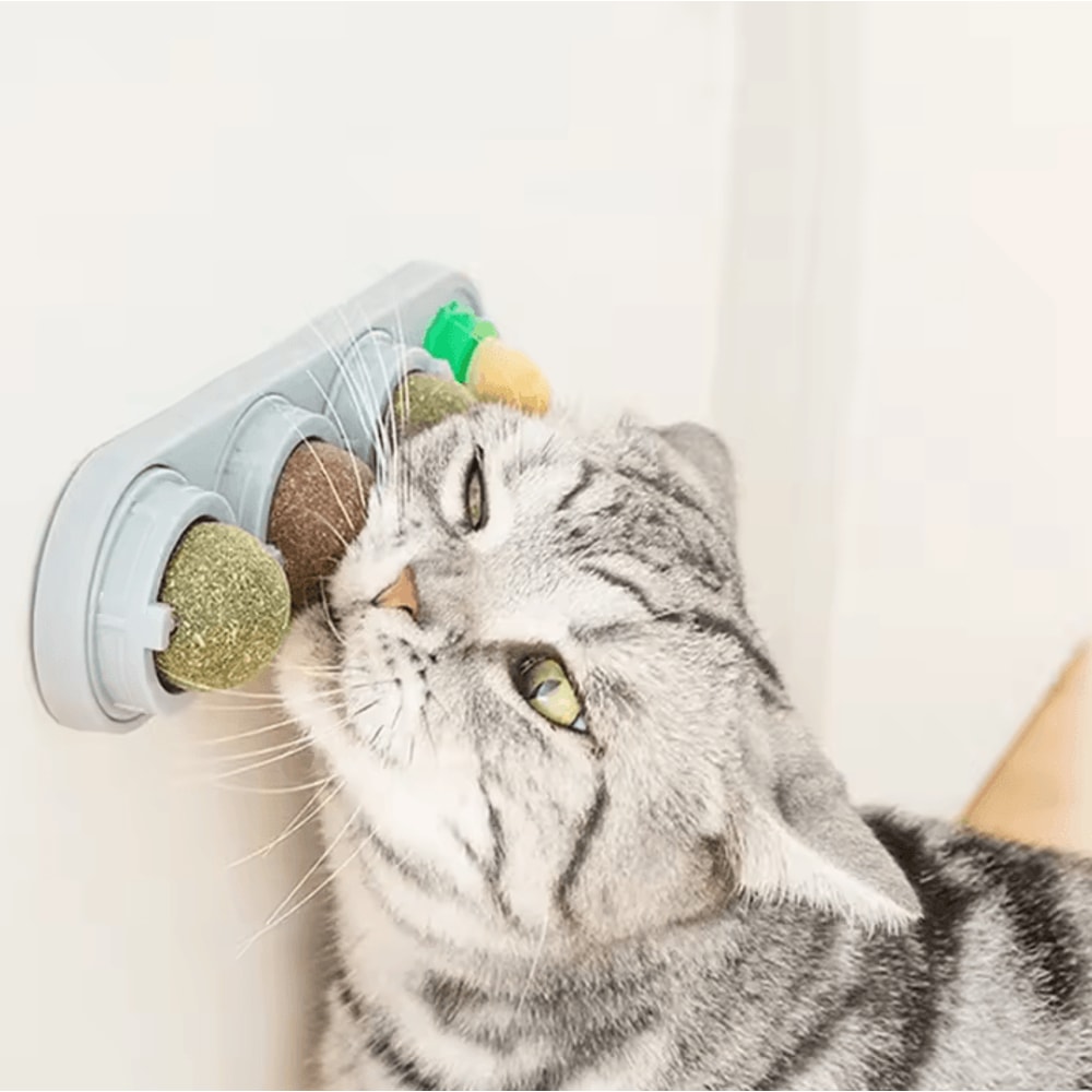 SpinFresh 4in1 Catnip Wall Toy Rotating Silver Vine Ball For Teeth Cleaning Play 0