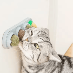 spinfresh 4-in-1 catnip wall toy – rotating silver vine ball for teeth cleaning & play