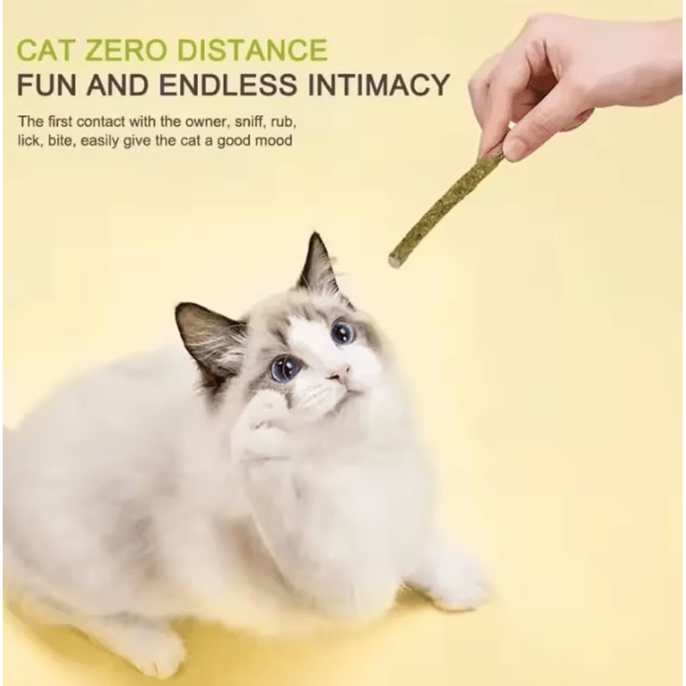 SilverPurr Natural Matatabi Cat Sticks For Teeth Cleaning Play 1
