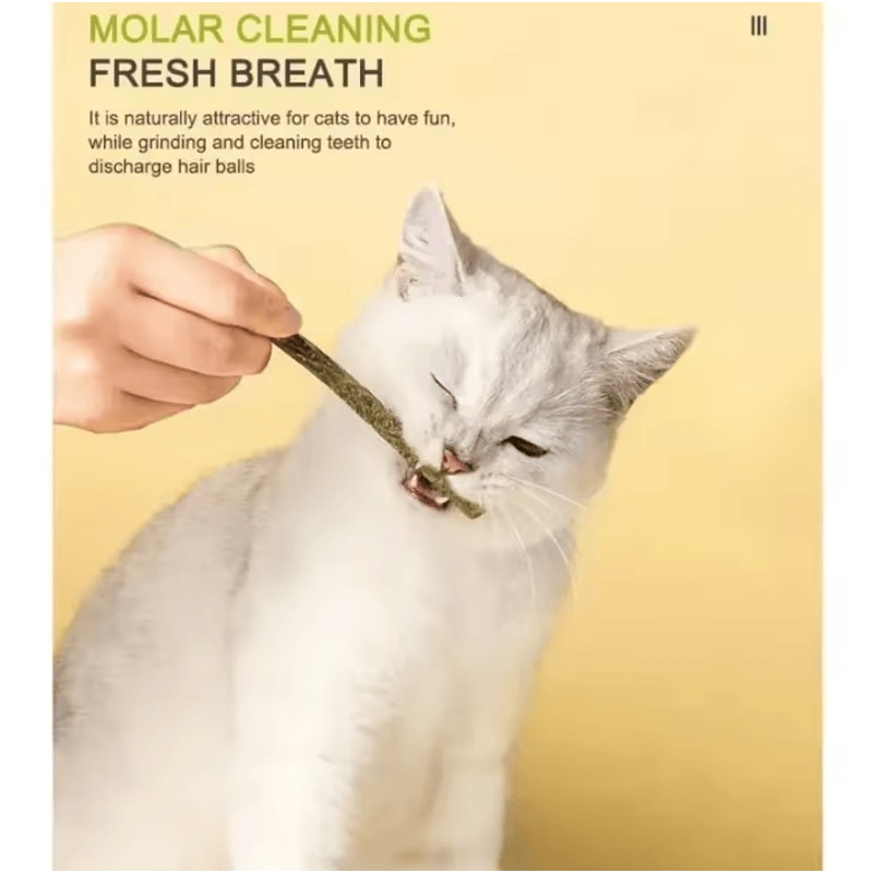 SilverPurr Natural Matatabi Cat Sticks For Teeth Cleaning Play 6