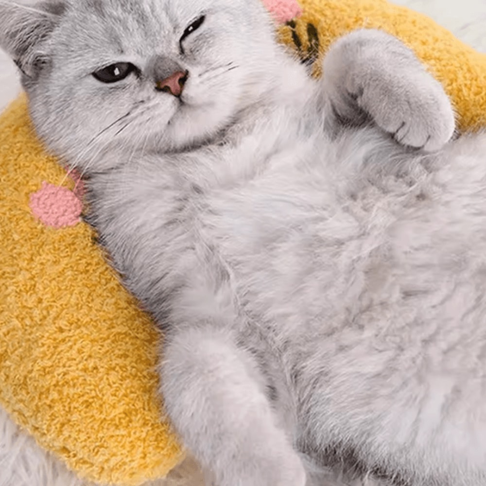 Ultra Soft Calming Cat Pillow For Cozy Sleep Joint Support 1