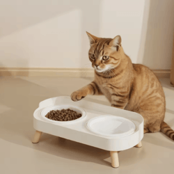 double elevated no-spill pet bowl with anti-slip stand for cats & dogs