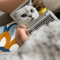 Mini Cat Laptop Mirror Toy For Curious Kittens Interactive Play 3