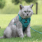 Reflective Adjustable Pet Harness Leash Set For Cats Small Dogs 1
