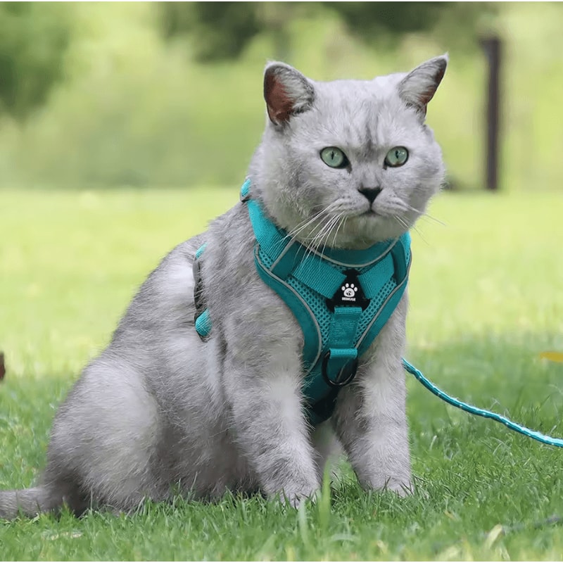Reflective Adjustable Pet Harness Leash Set For Cats Small Dogs 1