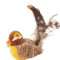 ChirpFeather Interactive Sound Bird Cat Toy 2