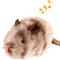 ChirpFeather Interactive Sound Bird Cat Toy 3