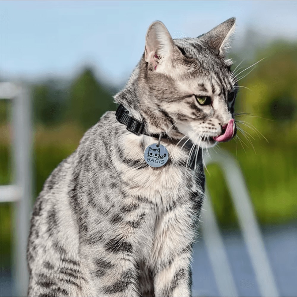PawCharm Personalized Cat ID Tag With Engraved Name 4